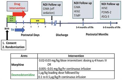 Dexmedetomidine Use in Infants Undergoing Cooling Due to Neonatal Encephalopathy (DICE Trial): A Randomized Controlled Trial: Background, Aims and Study Protocol